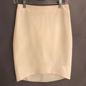 Express Skirt
